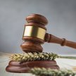 Spór o ukraińskie zboże przed WTO może trwać latami