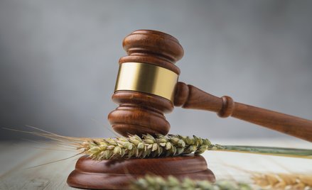 Spór o ukraińskie zboże przed WTO może trwać latami