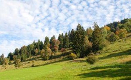 Premier musi wiedzieć, co zrobić z mieniem Nieporętu