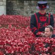 Tower wśród maków. Londyn świętuje 11 listopada