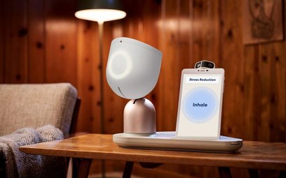 Roboty będą opiekować się osobami starszymi. Na początek poprawią im samopoczucie