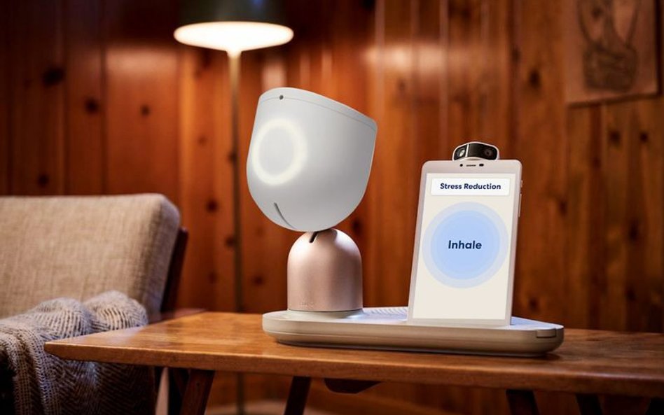Roboty będą opiekować się osobami starszymi. Na początek poprawią im samopoczucie