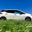 TEST MIESIĄCA: Prześwietlamy elektrycznego Nissana Leafa