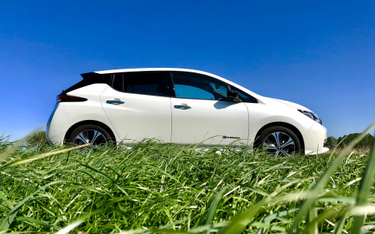 TEST MIESIĄCA: Prześwietlamy elektrycznego Nissana Leafa