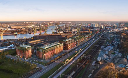 Cavatina w Młodym Mieście z zielonymi biurowcami