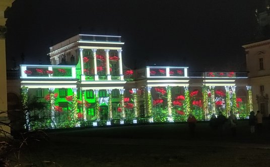 Kwiaty w jednym z mappingów w Wilanowie na fasadzie pałacu