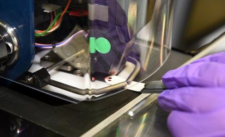 Celtycka krew w Piastach mazowieckich