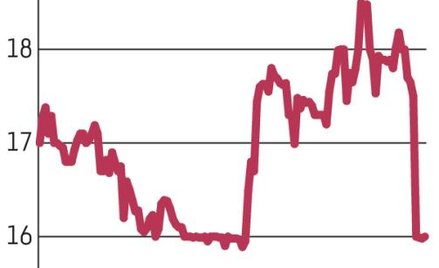 Synektik: Wyniki w 2016 r. powinny być na dużym plusie