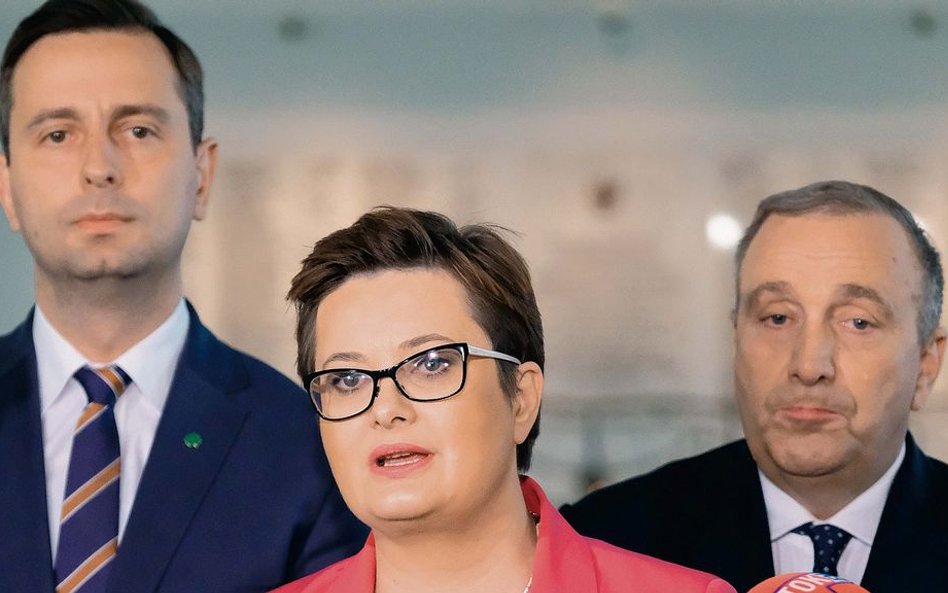 Gdy Grzegorz Schetyna rozbił sejmowy klub Nowoczesnej, partii Katarzyny Lubnauer, Władysław Kosiniak