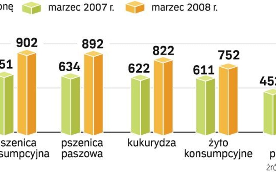 Mocny złoty zniechęca do eksportu zbóż