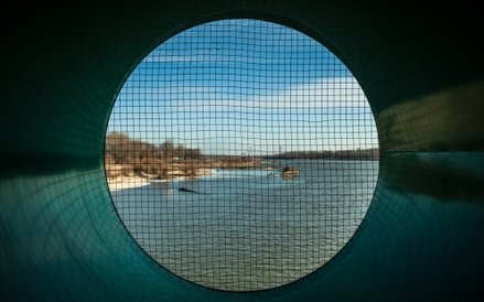 System monitoringu Symbio. W skrzyni znajdują się małże, które pomagają w kontroli czystości wody. S