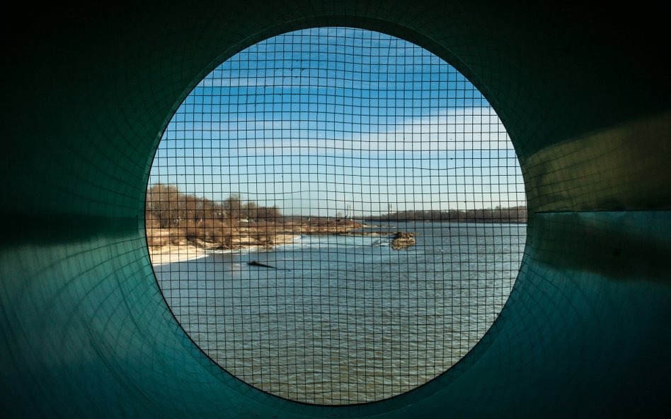 System monitoringu Symbio. W skrzyni znajdują się małże, które pomagają w kontroli czystości wody. S