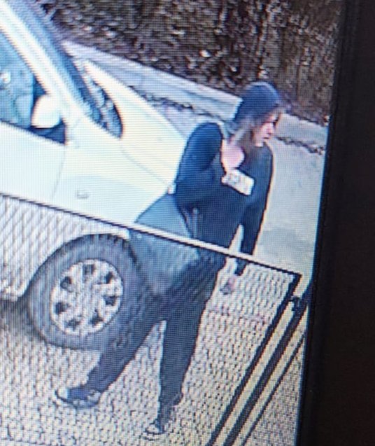 Podejrzany o pobicie nastolatki w Rabce-Zdroju