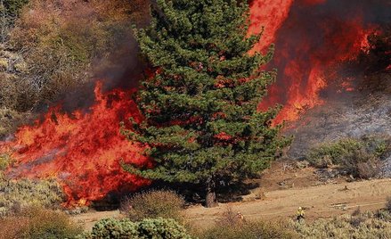 Życie na cieplejszej planecie. Czy będzie cieplej?