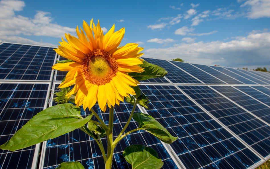 Energa napędza zieloną transformację energetyczną