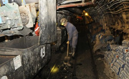 PGNiG: Akcje PGG koncern wyceniał na zero