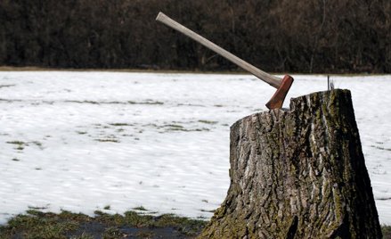 Wyzywające zachowanie darczyńcy, a odwołanie darowizny