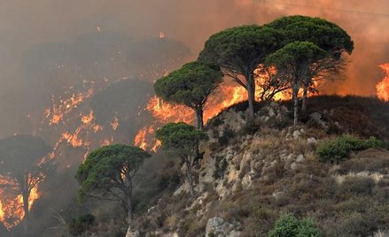 Sycylia - turyści ewakuowani z powodu pożaru