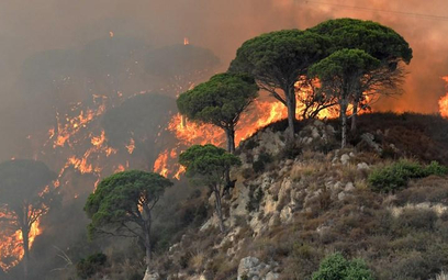 Sycylia - turyści ewakuowani z powodu pożaru