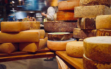 W Szwajcarii produkowanych jest blisko 500 gatunków sera. Niemal wszystkie powstają z mleka krowiego