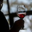 2016 Wine Price Index : Po ile płacimy za wino
