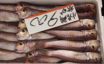 Legandarny targ rybny Tsukiji w Tokio