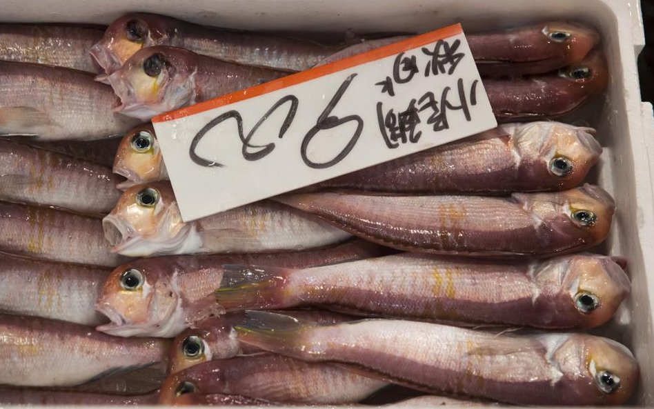 Legandarny targ rybny Tsukiji w Tokio