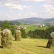 Projekt wprowadza obowiązek ubezpieczenia od trzech rodzajów ryzyka najczęściej występujących na dan