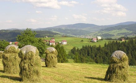 Projekt wprowadza obowiązek ubezpieczenia od trzech rodzajów ryzyka najczęściej występujących na dan