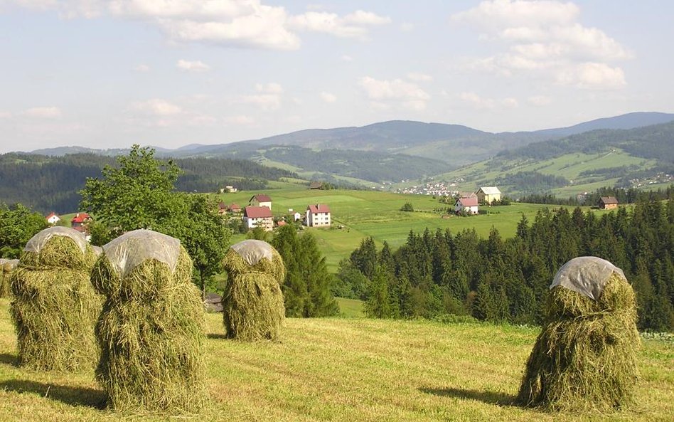 Projekt wprowadza obowiązek ubezpieczenia od trzech rodzajów ryzyka najczęściej występujących na dan