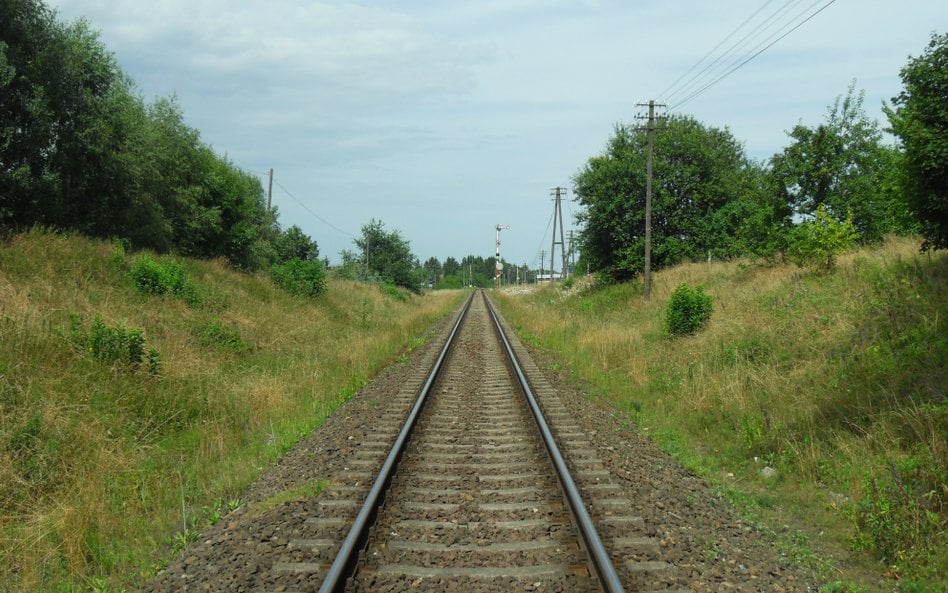 Gdynia otrzyma porządne połączenie kolejowe