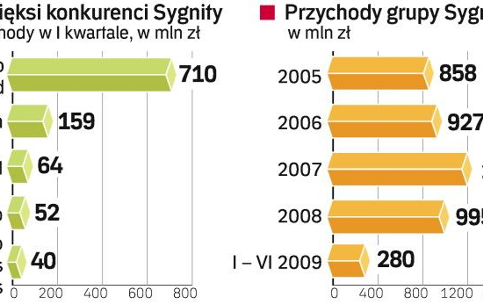 Spowolnienie gospodarcze spowodowało, że firmy wstrzymały inwestycje w informatykę. Sygnity, którego