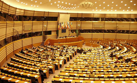 Lojalność w europarlamencie ceną za wpływy