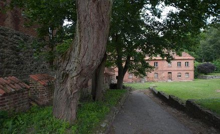 Korzystne decyzje dla