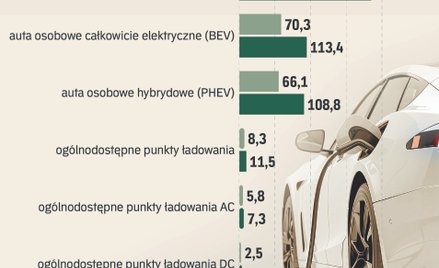 Skokowo rośnie liczba punktów ładowania pojazdów elektrycznych