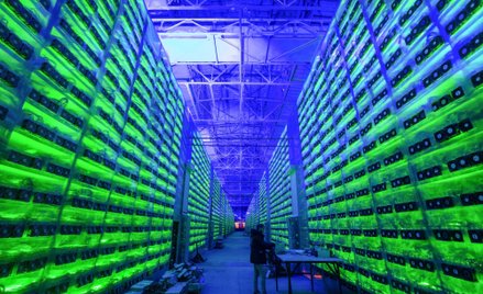 Bitcoin nie jest bohaterem tego rajdu kryptowalut. Lawina debiutów