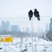 Elektrownie dają odpór zimie