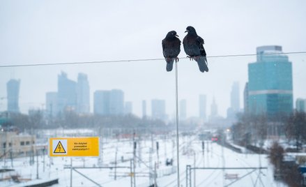 Elektrownie dają odpór zimie