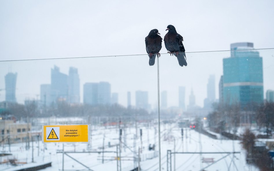 Elektrownie dają odpór zimie