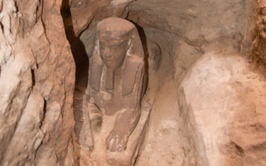 Posąg sfinksa odkryty na południu Egiptu