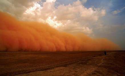 Mistrzowie życia bez wody