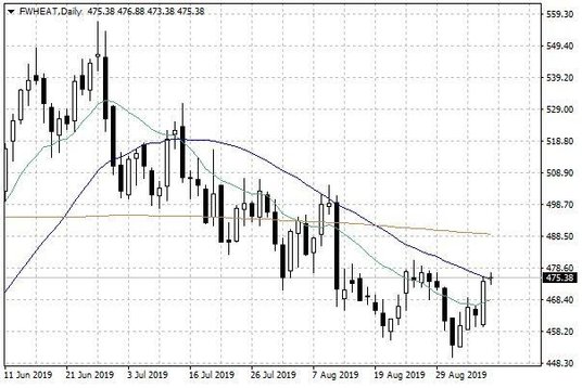 Notowania pszenicy w USA – dane dzienne