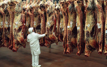 Ważne dla eksportu polskiej wołowiny jest planowane na przyszły rok ponowne otwarcie tureckiego rynk