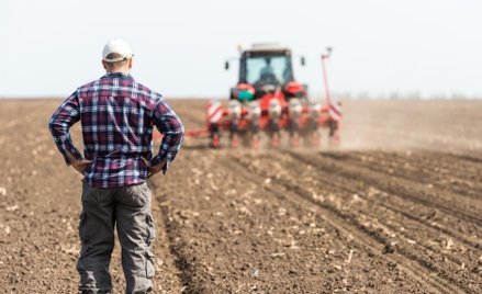 Więcej obcych rąk do pracy w brytyjskim rolnictwie