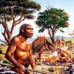 Hominid sprzed 1,5 mln lat