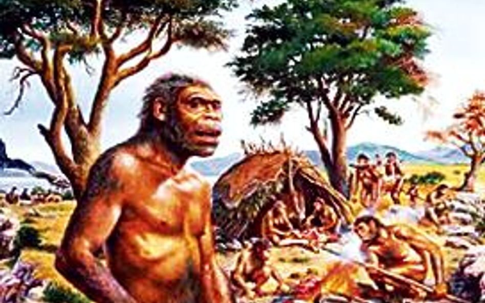 Hominid sprzed 1,5 mln lat