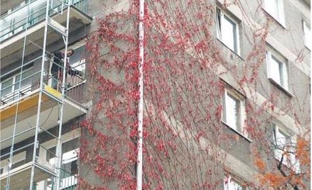 Miasto próbuje odzyskać mieszkanie w Śródmieściu