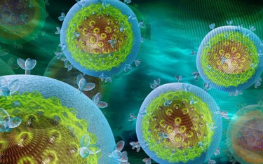 Białko może dać początek szczepionce przeciw HIV/AIDS