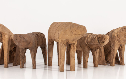 Wrocław: Abakanowicz. Totalna