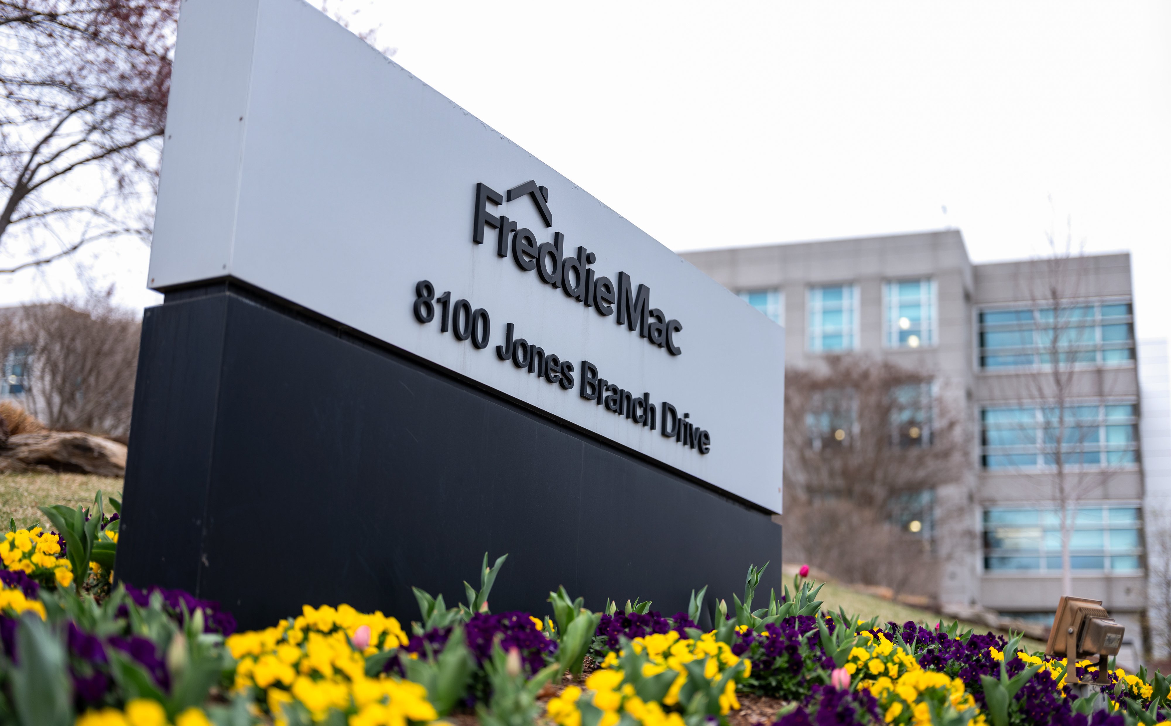 Powrót Fannie i Freddie na giełdę? Prywatyzacyjne plany Trumpa